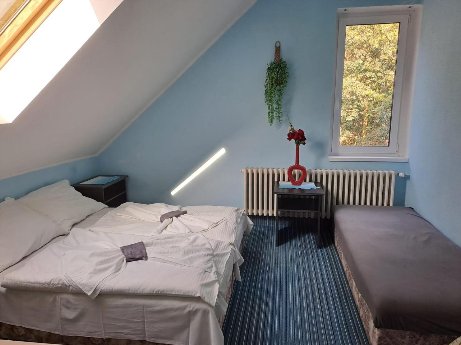 Hotel Kamenny Vrch 霍穆托夫 外观 照片